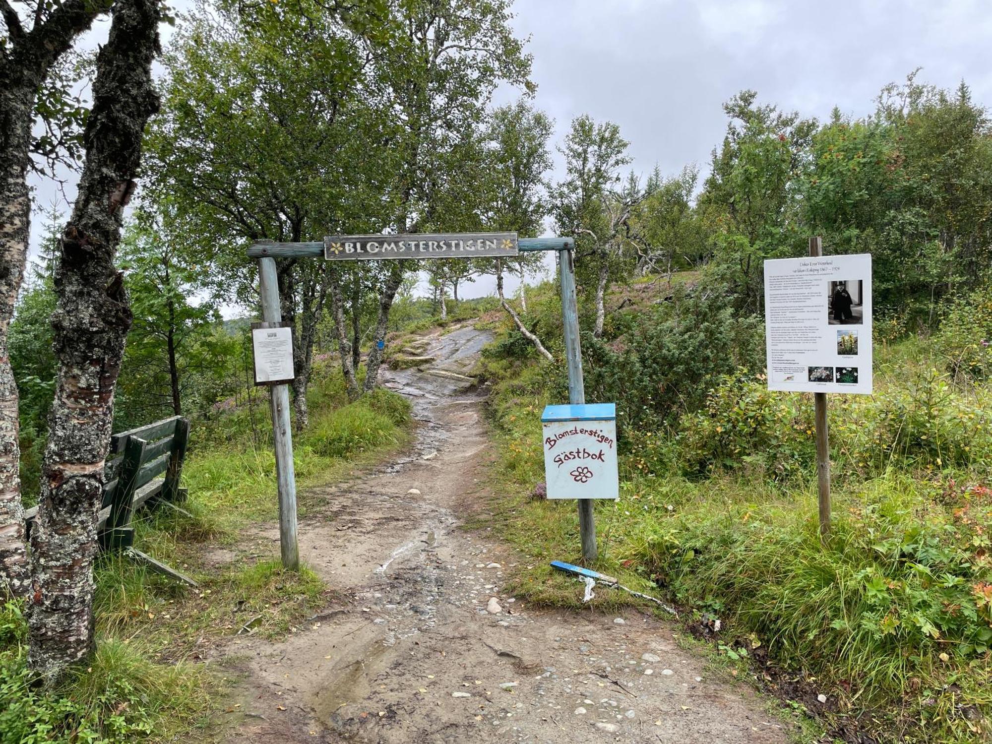 Storlien Hoegfjaellshotell Ab Exterior foto